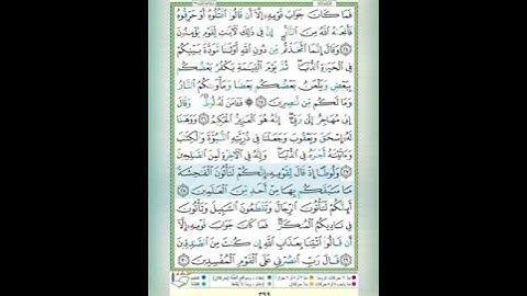 #سورة العنكبوت #تلاوة الشيخ أيمن سويد #الآية٢٨#قليل دائم خير