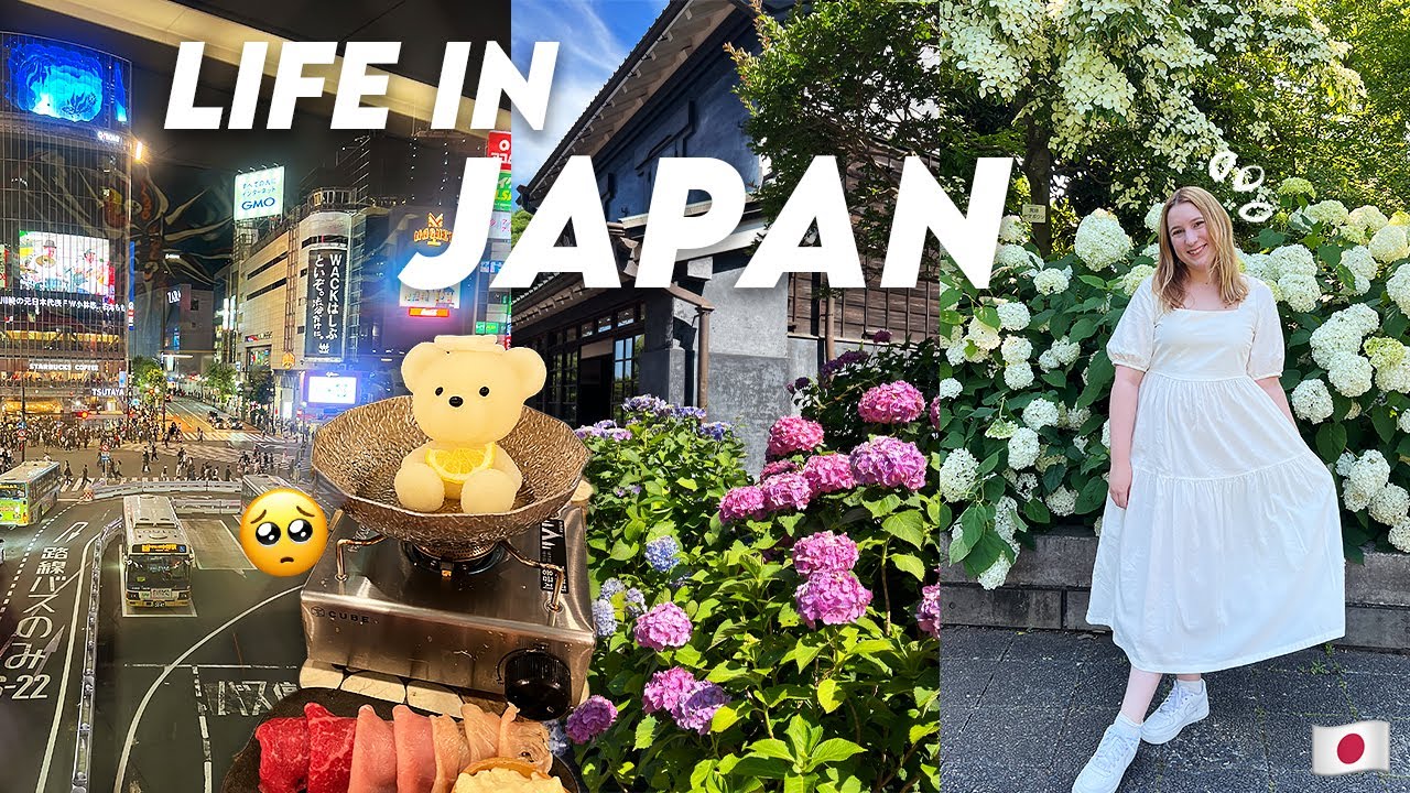 life in japan | summer hydrangea festival 🎐, bear onsen in shibuya, job update 🧸