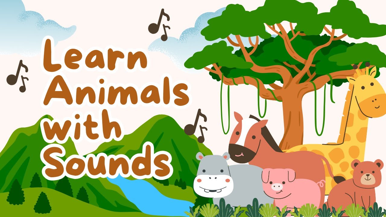 Zoo Animals for Kids 🦁🐘 | Learn Animal Names | Teddora TV