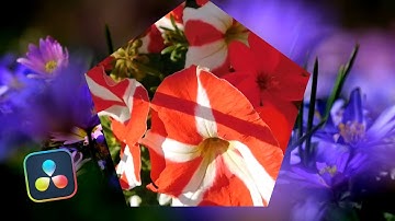 Pentagon Iris Transition l Davinci Resolve 20