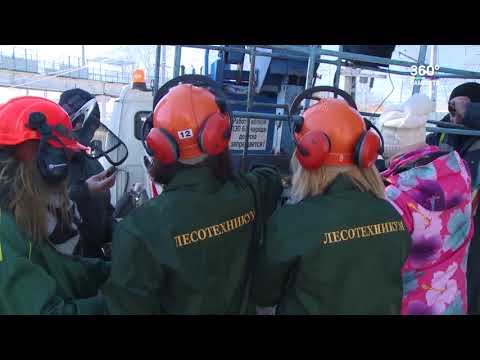 Студенты и голубые ели