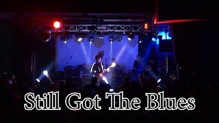 Still Got The Blues - Gary Moore; Solo By Andrei Cerbu 14 y.o at Aby Stage Bar