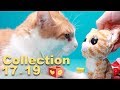 Simba and George | Bellboxes | Collection | Cute and funny cat