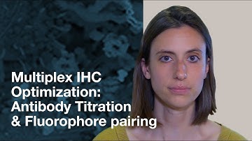 Multiplex IHC Optimization:  Antibody Titration & Fluorophore Pairing | CST Tech Tips
