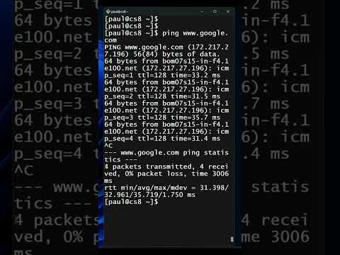Linux Network Connectivity Check with PING Command