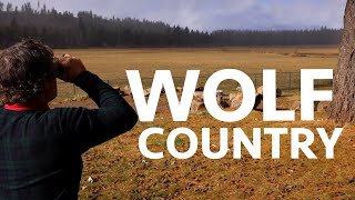 Wolf Country by Herald and News 363 views 3 years ago 10 minutes, 10 seconds