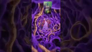 NHI_Video for EZEKIEL STEM CELL testimony