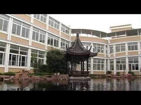 ჩინური ტრადიციული მედიცინა