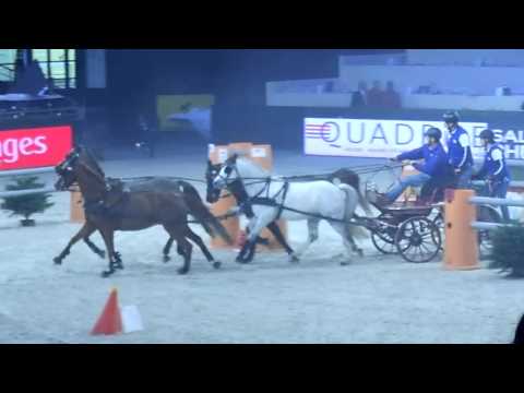 Salon du cheval