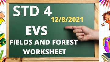 FIELD AND FOREST MAIN ACTIVITIES/STD4 EVS WORKSHEET/ 11/7/2021