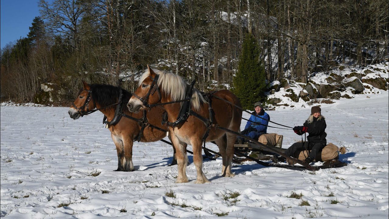 Olle och Anna kör släpåke i Kleva