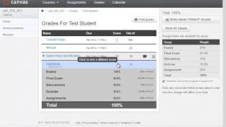 Level 3 Canvas Training