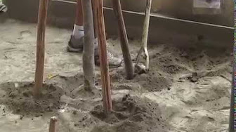 造園景觀丙級技術士術科 Youtube 造園景觀丙級技術士術科 Youtube