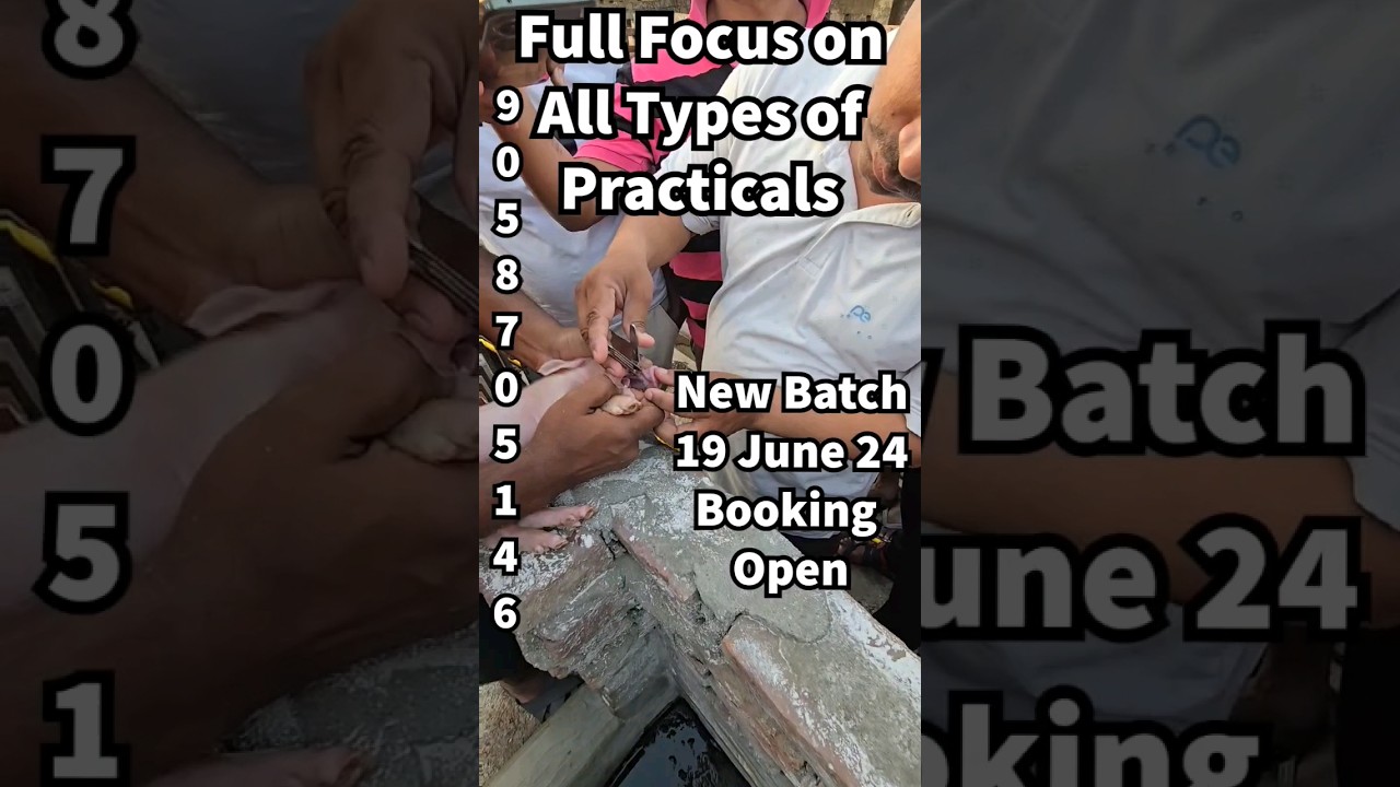 25 May 2024: Practical session at Vikas Livestock Pig Farm&Training Centre 9058705146 