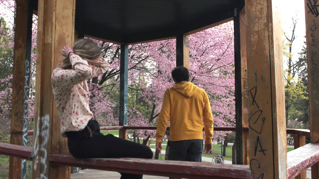 Social dancing in Alppipuisto