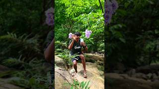 Flowers slow Motion😳 | Mobile Videography | CinematicEffect #mobilevideography #volgcinematic