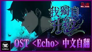 【歌曲自翻】我獨自升級 OST 「Echo」 - THE BOYZ(더보이즈)