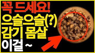 감기 빨리 낫는법! 이걸 꼭 드세요~ 중의학, 한의학 약초, 약초방송, 방풍 약초tv, 약초공부, 한약