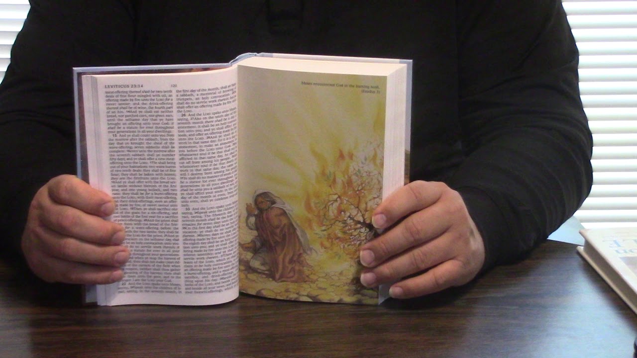 KJV Kid’s Bible l Review