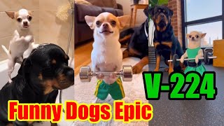 Funny Dogs Epic V-224