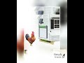 Roll Down Automatic Chicken Coop Door Solar Powered