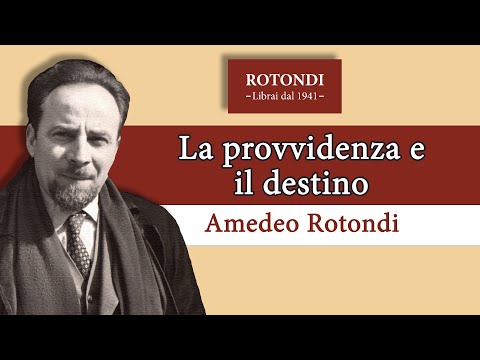 Video: Provvidenza e svedese sono la stessa cosa?