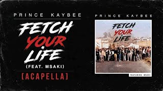 Prince Kaybee - Fetch Your Life (feat. Msaki) [Acapella]