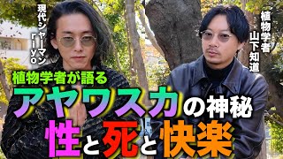 screenshot of the youtube video