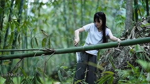 How to Build a Floating House on Water in 10 Days Using Ancient Vietnamese Techniques