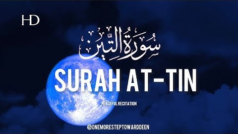 Surah At -Tin(The fig)|Mishary Rashid Alafasy| سورة التين.#quran #surahtin #islamicvideo #islam