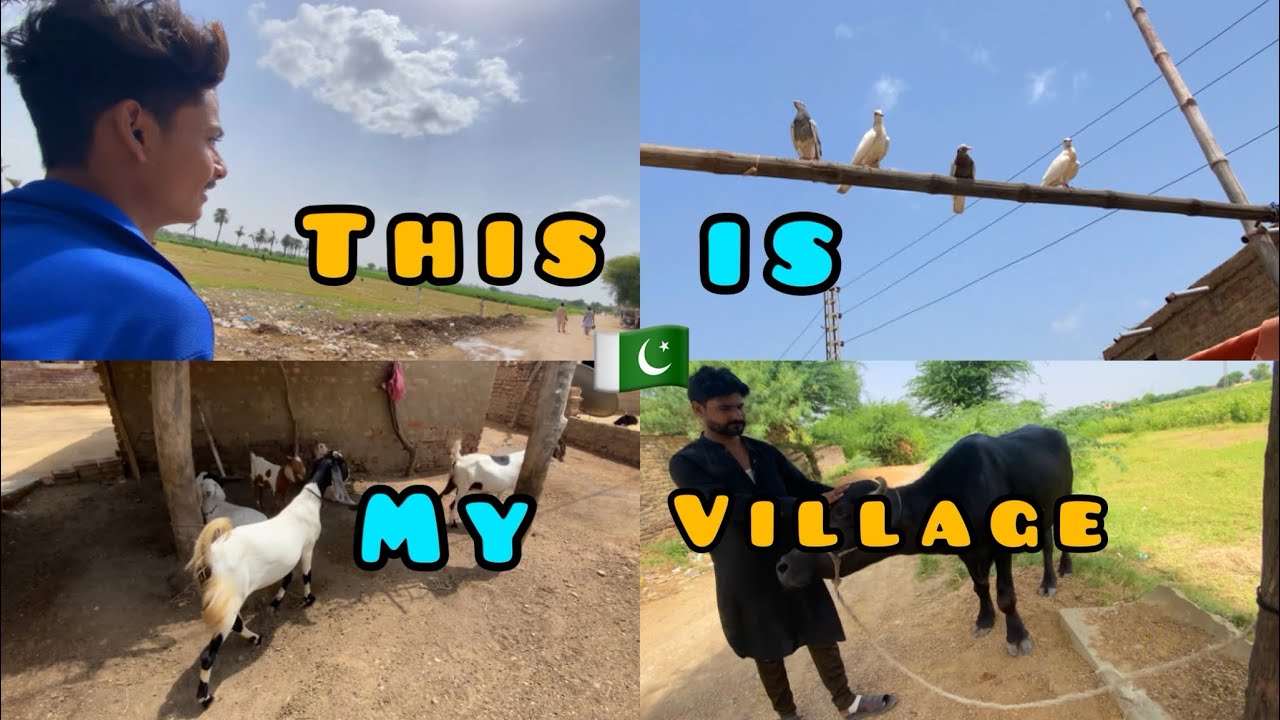 Secrets of Simplicity: Unveiling the Enchanting Charms of Village Life in Pakistan