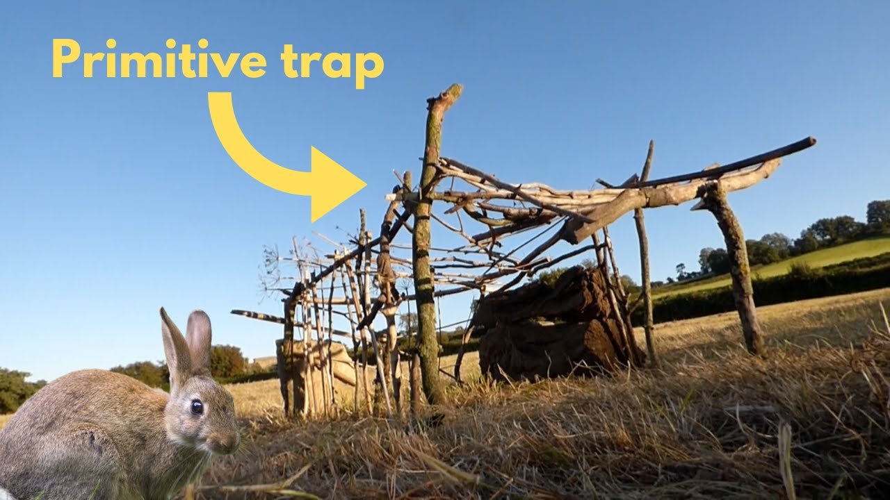 Rabbit Snaring 101 - Wire Survival Snares 