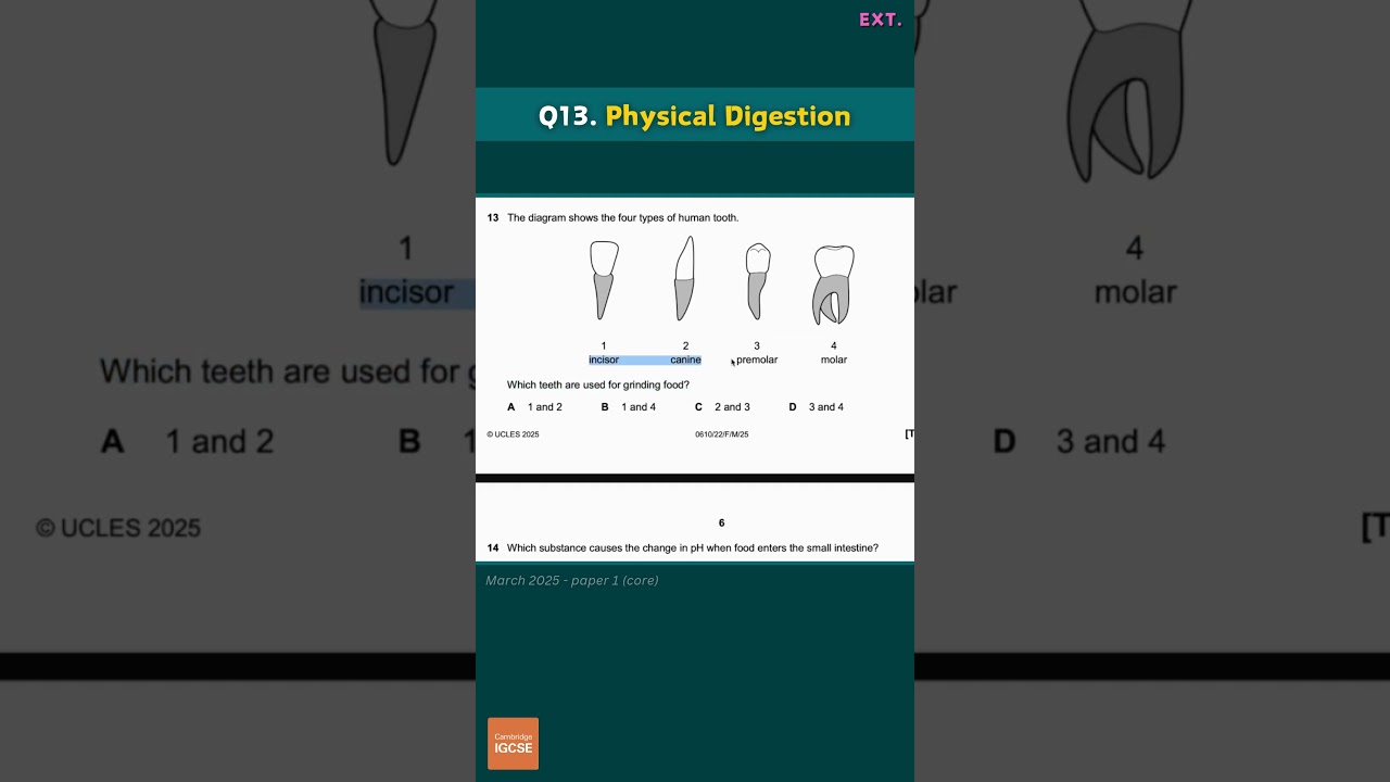 IGCSE Biology - Multiple Choice (2025) A* exam prep! 