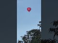 Hot air balloon on a sunny October afternoon in Sussex.