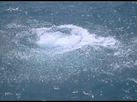 Jumping Off A Boat In Spain