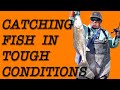 Catching fish in tough conditions