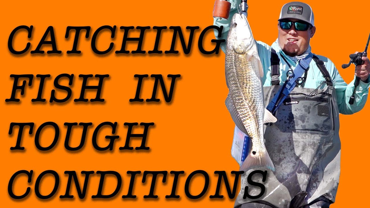 Catching Fish In Tough Conditions