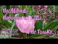 франция/Готовим Муль-Фрит/Непрошенная гостья /Быстрая, пробежка по саду/provenceallochka vlog