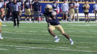FULL HIGHLIGHTS: No. 4 Montana State pulverize Morehead State, 63-13