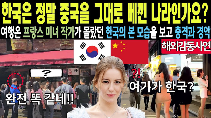 [해외감동사연] 여행온 프랑스 미녀 작가가 몰랐던 한국의 본모습을 보고 경악한  이유 그리고 충격 적인 인천 공항