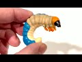 Stag Beetle Life Cycle + Purple Insect Sorting & Butterfly Puzzle