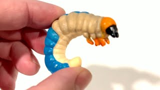 Stag Beetle Life Cycle + Purple Insect Sorting & Butterfly Puzzle