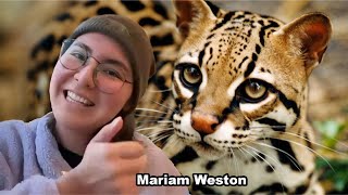 Meet Mariam Weston by Big Cat Rescue 1,245 views 2 weeks ago 36 minutes
