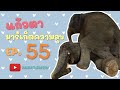 บ้านแก้วตามาร์เก็ตความสุข 19/03/2565