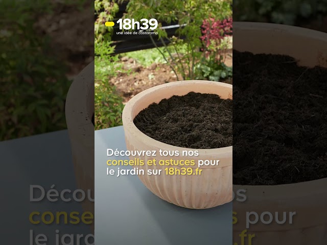 Astuces et conseils pour le jardin