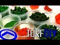 Tu propio TURF casero! Como hacer follaje para árboles