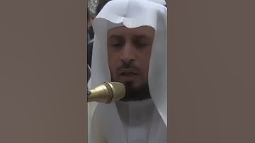 تلاوه خاشعة تفوق الوصف للشيخ سعد الغامدي