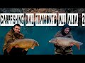 Carpfishing dal tramonto all'alba EP#2