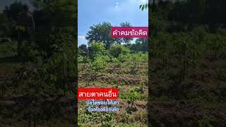 ข้อคิดดีๆ