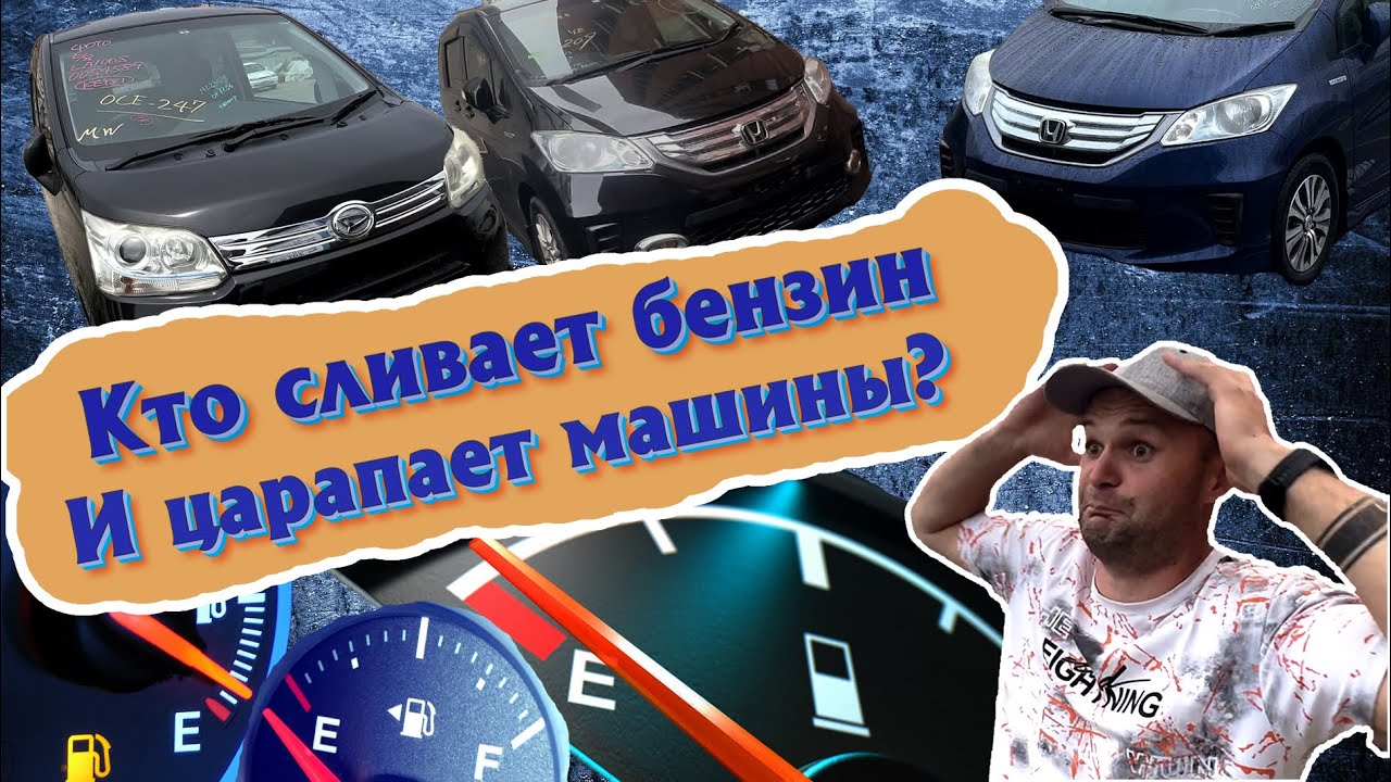 Собака царапает машину Собака царапает машину